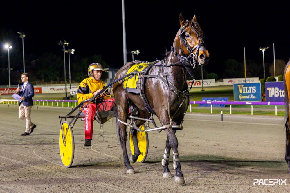 Reinette 1 – T Wheeler 240524