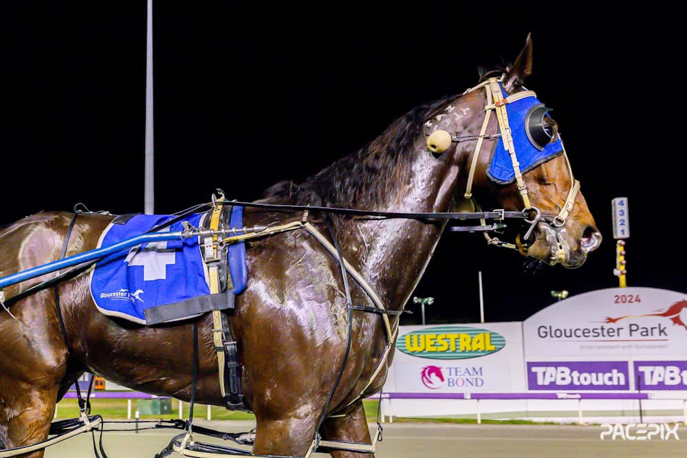 State Of Heaven 240524