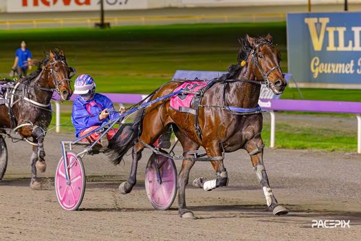 Carana – D Roberts 310524