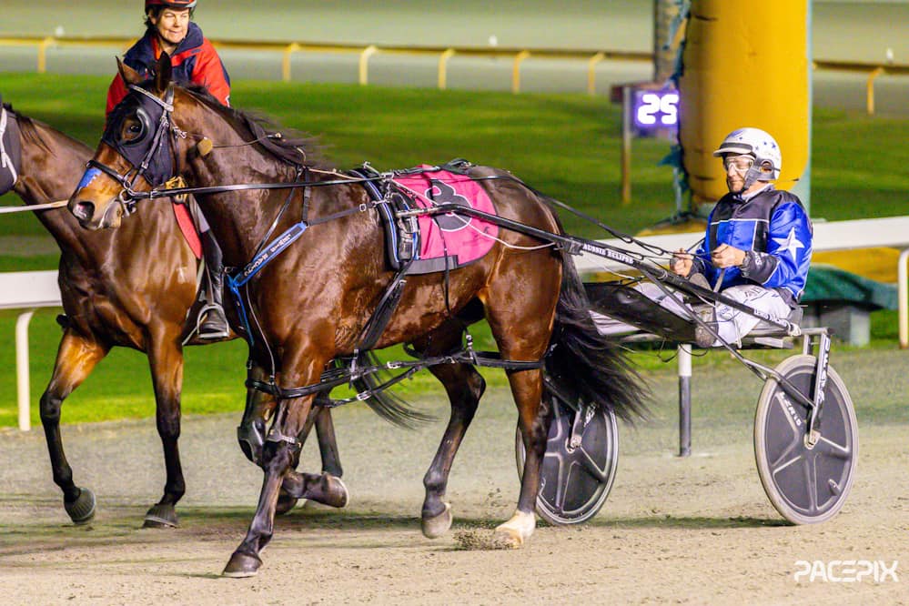 My Ultimate BAxter – C Lewis 210624