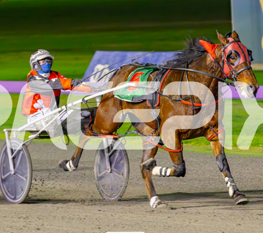 Ideal Tomado – M Brown 260724