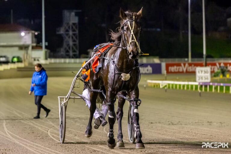 Bettagetonpip – R Warwick 140624