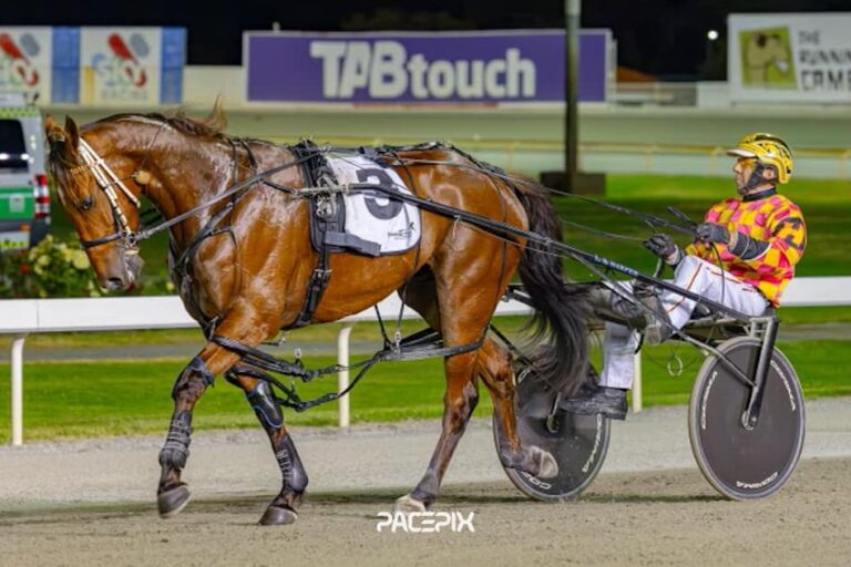 Chivalry – L Harper 021223