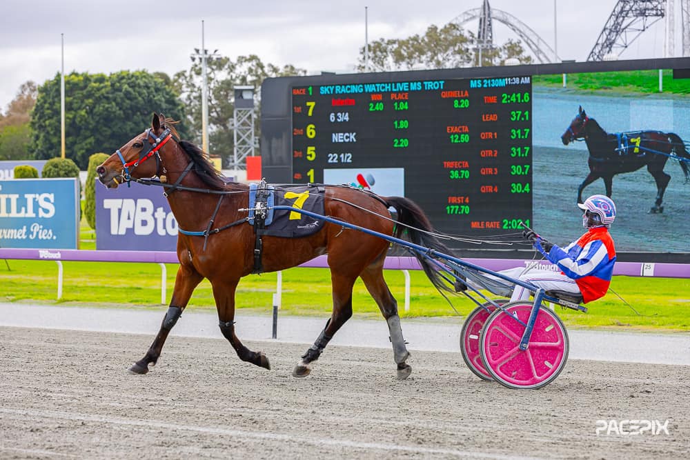 Hold That Gold – D Roberts 290724