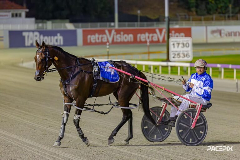 Bet The House – C Voak 260324