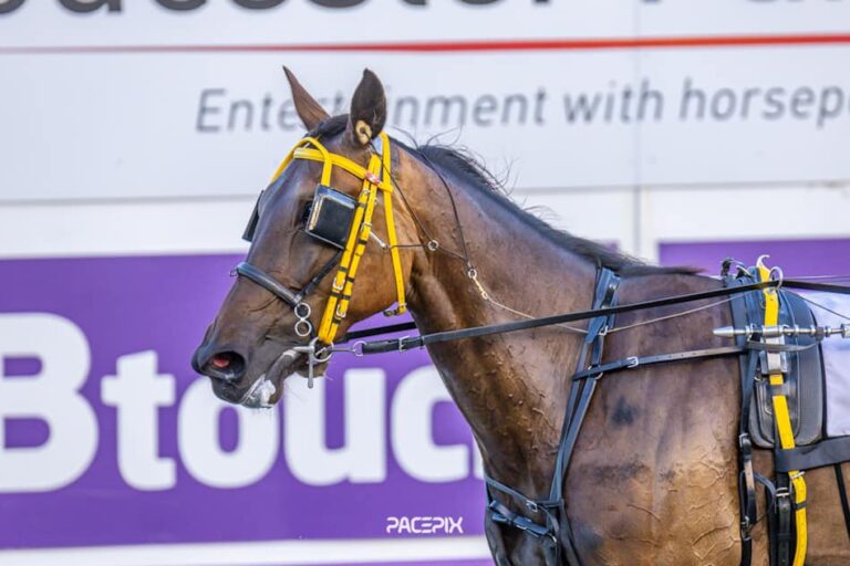 Crowd Control 311223