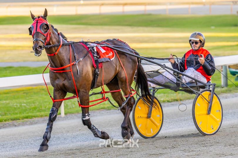 Longreach Bay – T Wheeler 171123