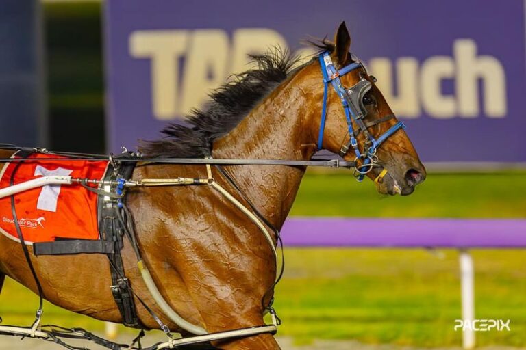 Make Your Mark 270224