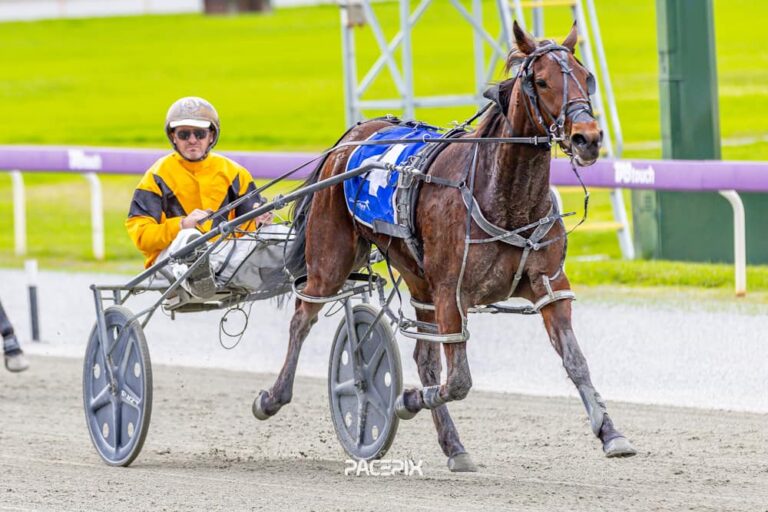 Reinette – T Wheeler 290724