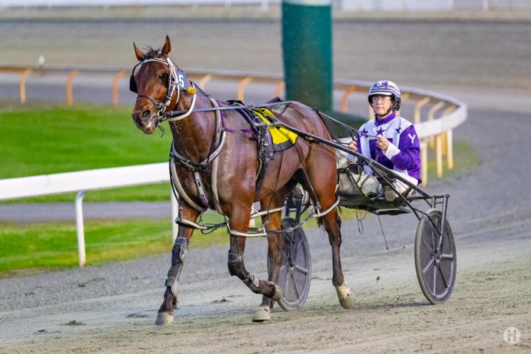 Skylord – J Young 060922