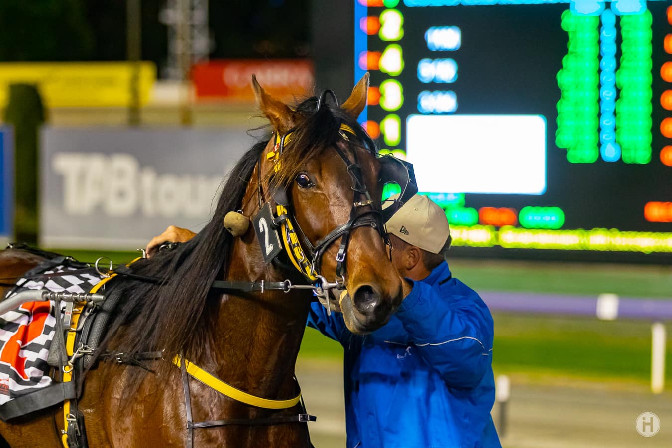 Soho Firestone 071022 1