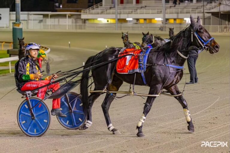 Ideal Muscle – A DeCampo 140524