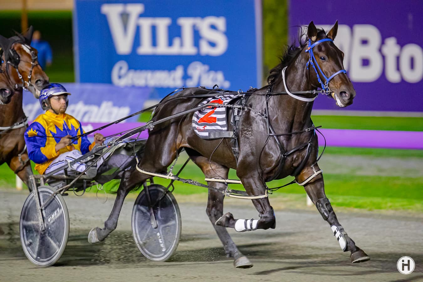 Sorridere – A De Campo 180423