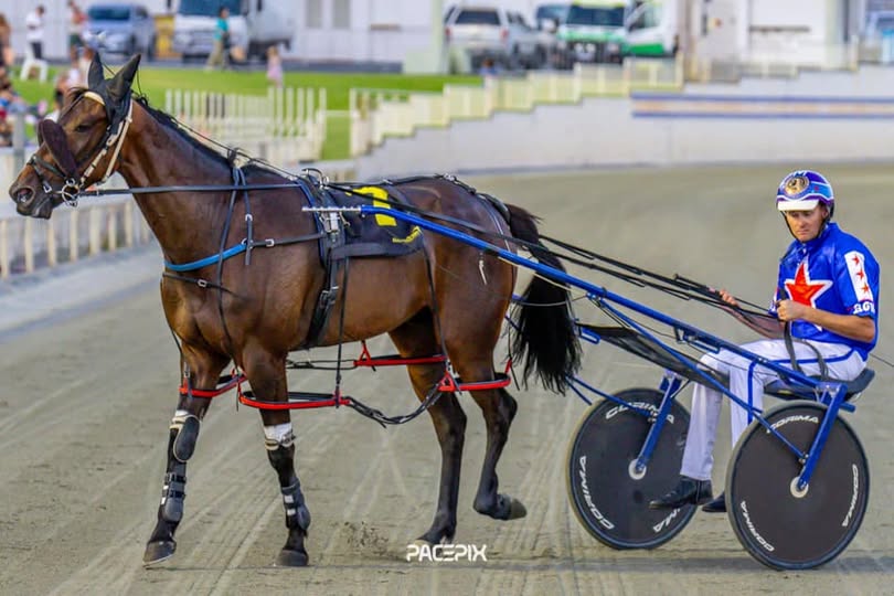 Brickies Dream – R Williams 311223