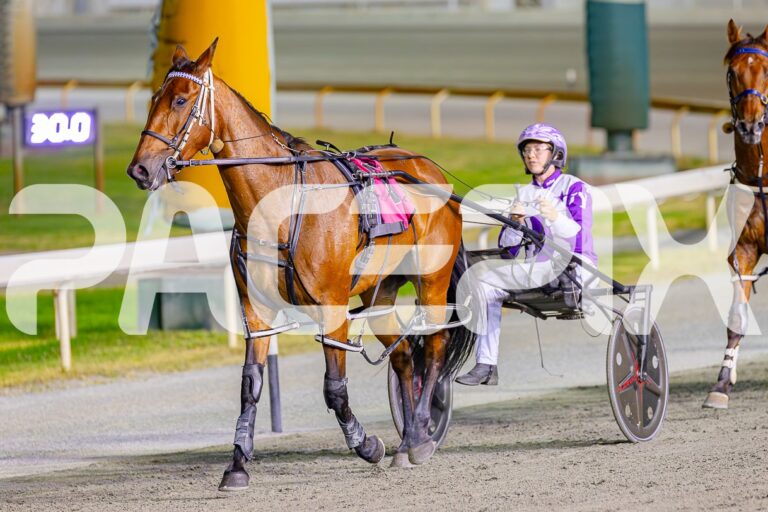 Freyja – j young 211224