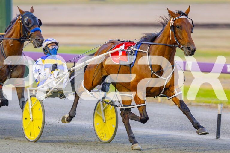 Spicey Major – Hall Jnr 170125