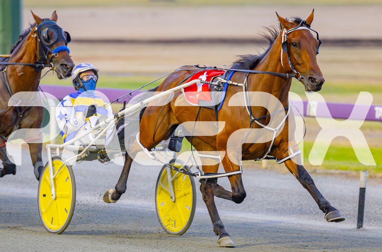 Spicey Major – Hall Jnr 170125