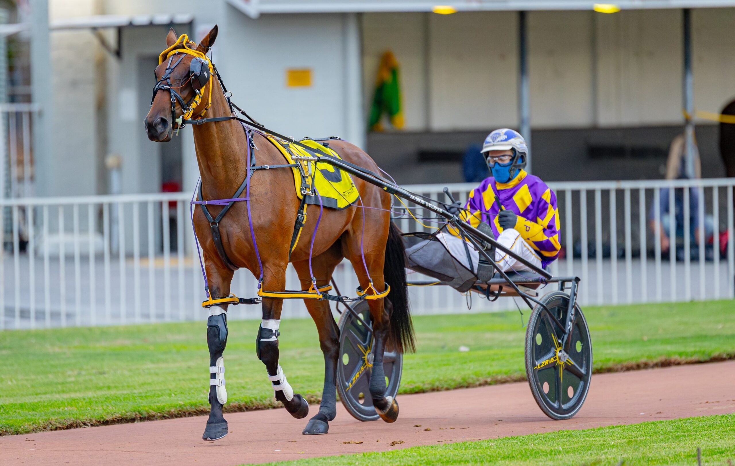 2025 03 Perfet Miki 2