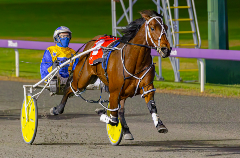 Cyclone Jordy – Jnr Golden Slipper Pacepix 240927