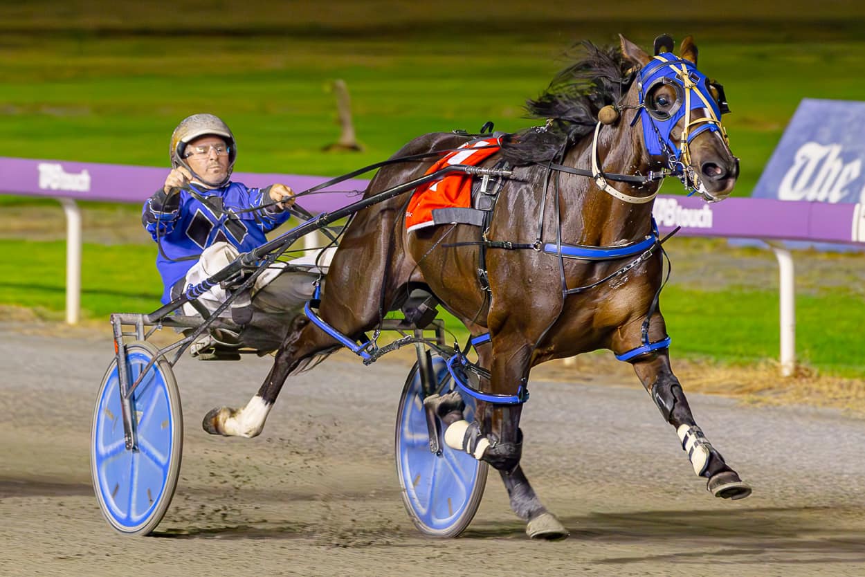 Wishing Belle – T Wheeler 140325