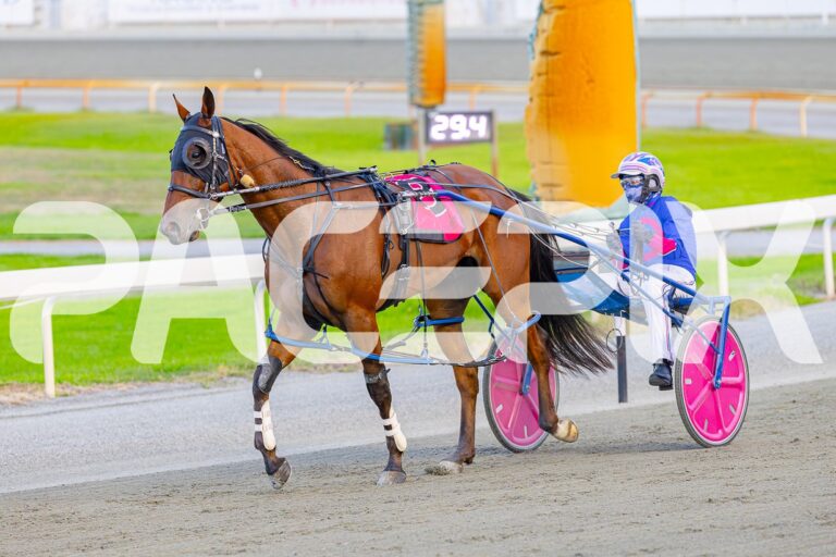 Belly Up – D Roberts 180425