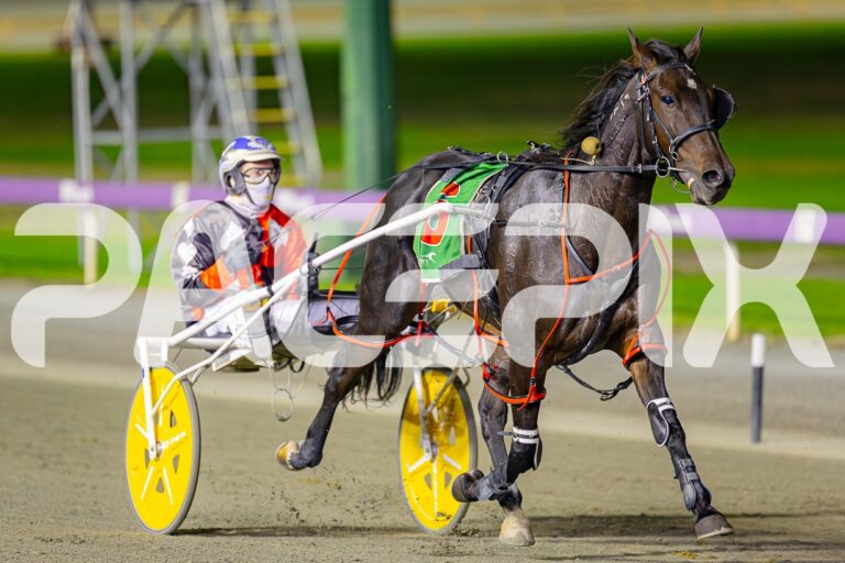 Hugotastic – G Hall Jnr 180425