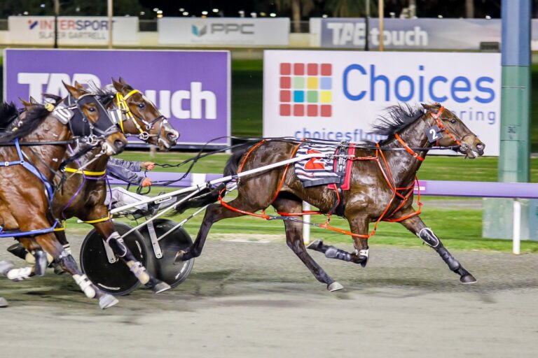 Longreach Bay Westbred