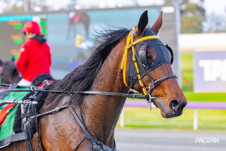 Follow Rocknroll 270824