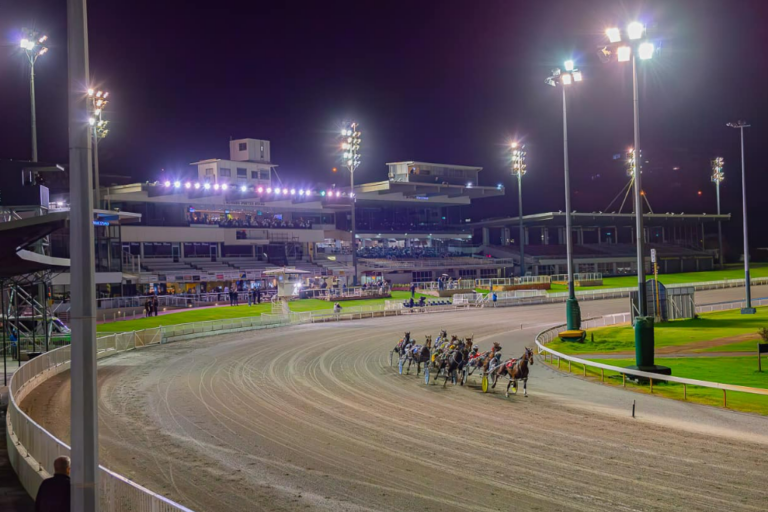 Generic field from above 2024