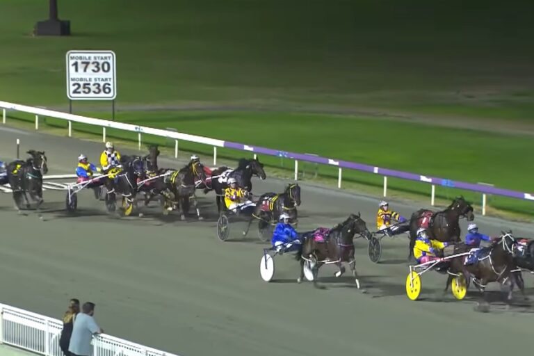 Mister Smarte – Race 02052025