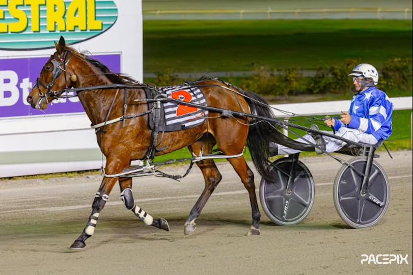 Sugar Delight – C Lewis 070524