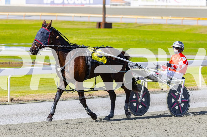 Im Category Five – M Brown 280725